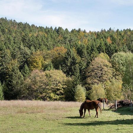 Cozy Holiday Apartment In The Black Forest Dachsberg im Schwarzwald Exterior photo