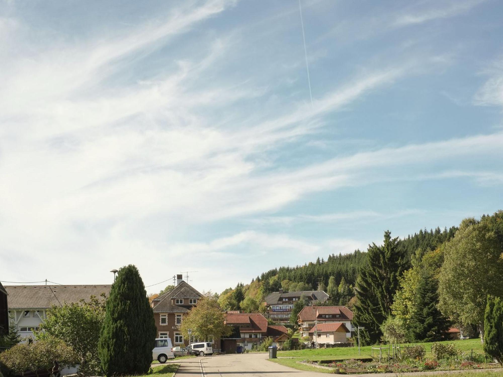 Cozy Holiday Apartment In The Black Forest Dachsberg im Schwarzwald Exterior photo