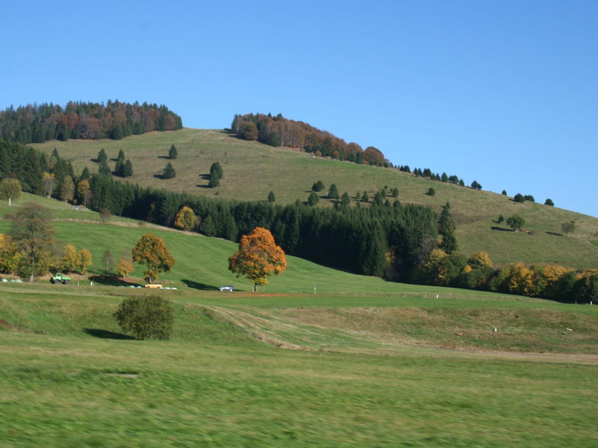 Cozy Holiday Apartment In The Black Forest Dachsberg im Schwarzwald Exterior photo